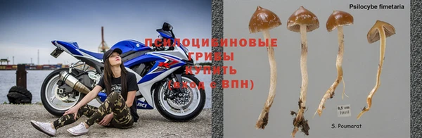 каннабис Вяземский
